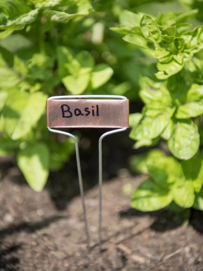 Copper Perennial Markers, Set Of 10