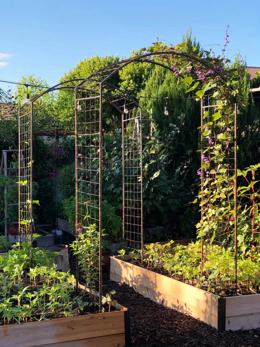 Jardin Rose Arch - Image 2