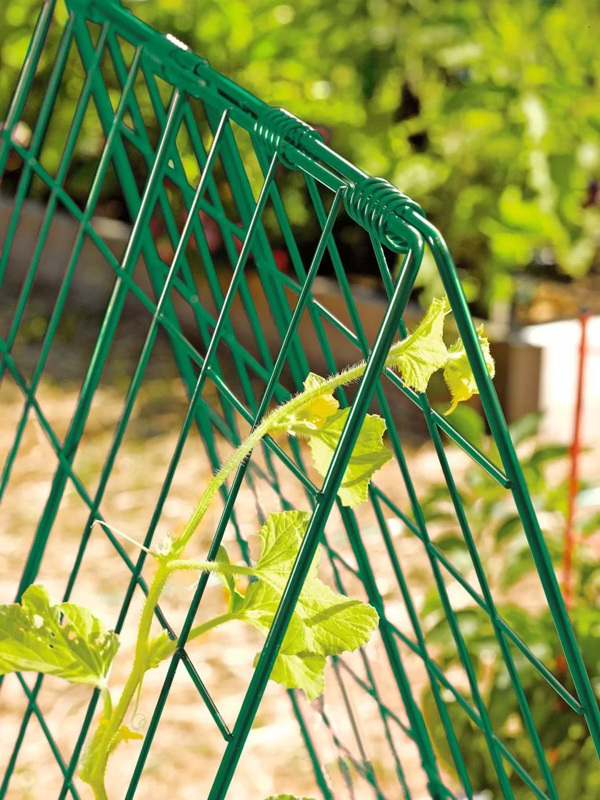 Deluxe Cucumber Trellis - Image 4