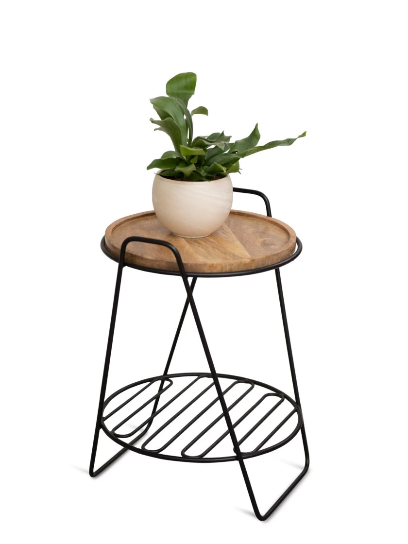 Hairpin Plant Stand With Shelf - Image 2