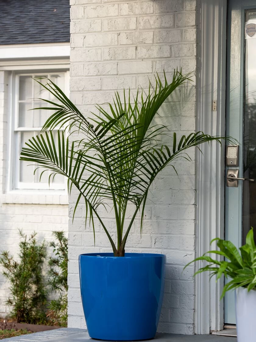 Viva Round Self-Watering Rolling Planter, 20" Diameter, Set Of 2 - Image 3