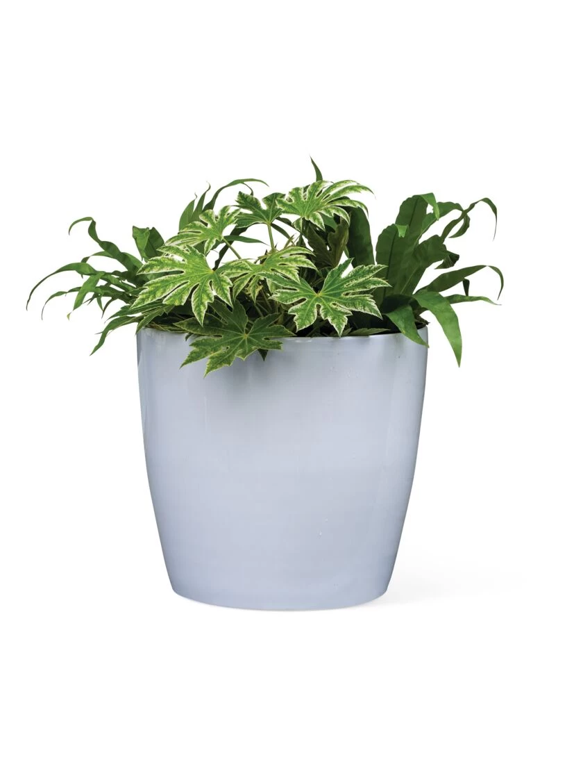 Viva Round Self-Watering Rolling Planter, 20" Diameter, Set Of 2 - Image 6