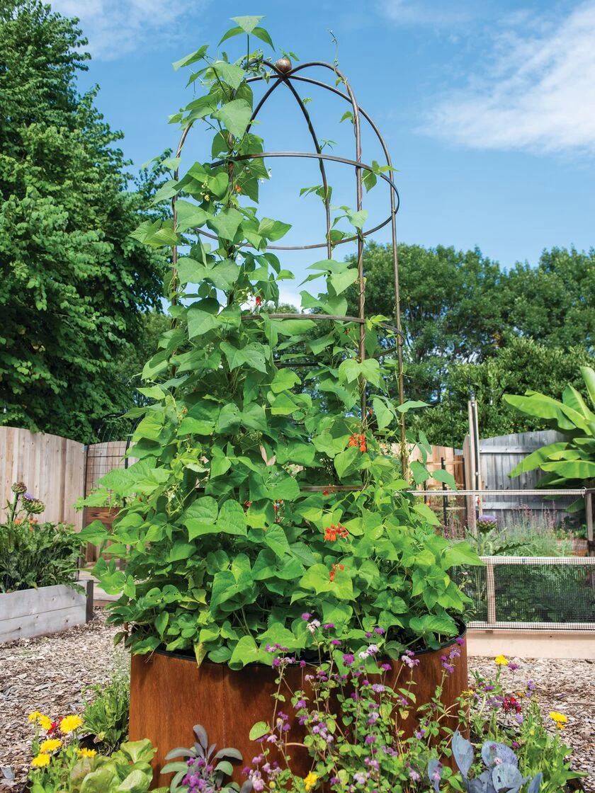 Jardin Tower - Image 2