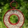 Circle Fly-Thru™ Bird Feeder With A Ruby Red Finish