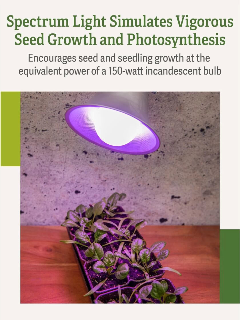 Miracle LED® Grow Light Bulb, Red And Blue - Image 5