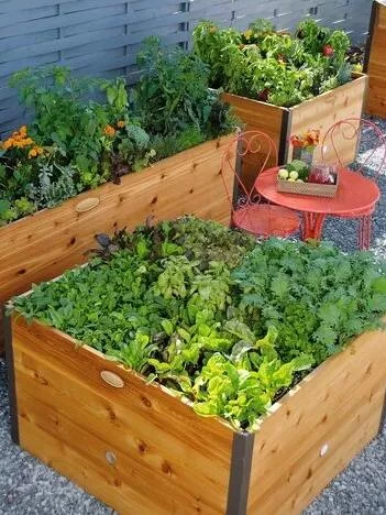 Elevated Raised Bed, 4' X 4' - Image 2