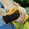 Men's Gold Leaf Winter Touch™ Gloves