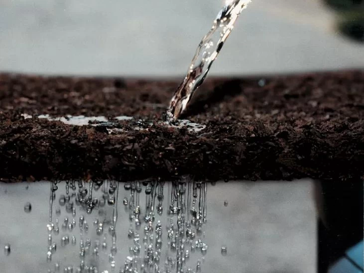 Tree Ring, 36" - Image 2