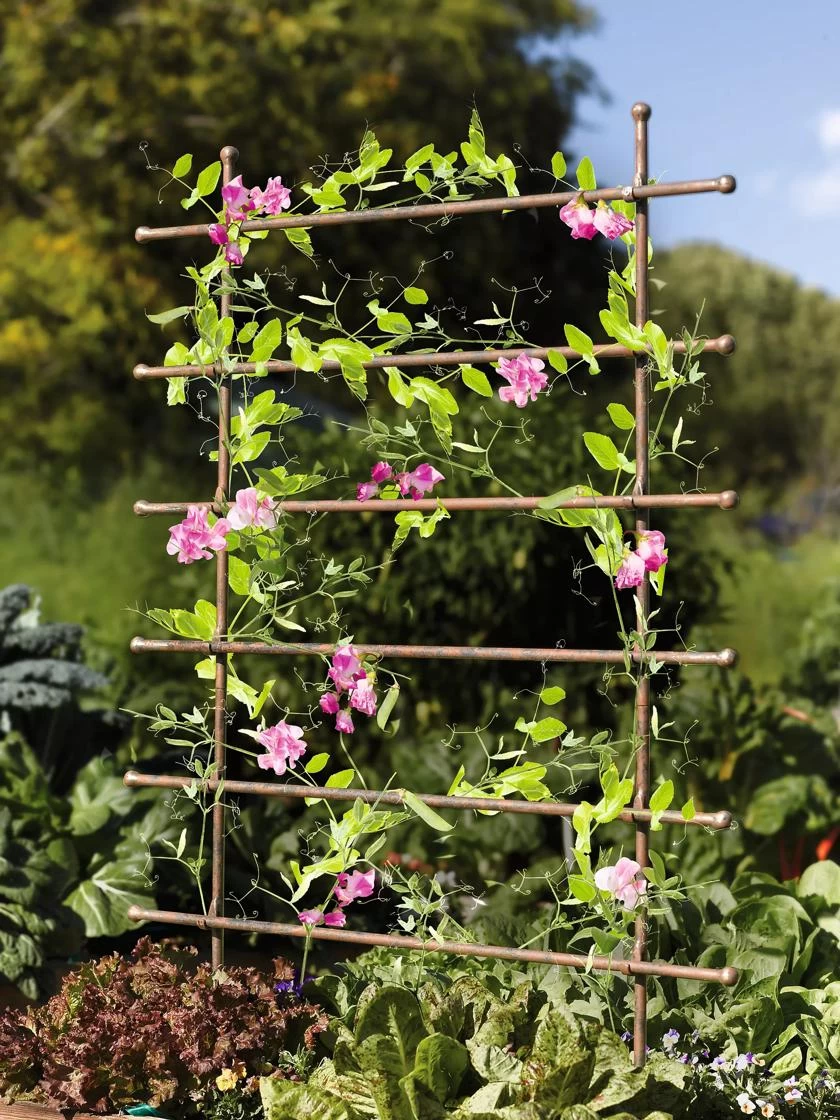 Jardin Ladder Trellis - Image 3
