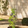 Jardin Pot Trellis