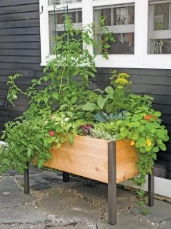 Elevated Planter Box, 2' X 4'