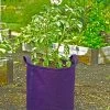 Gardener's Best® Potato Grow Bag