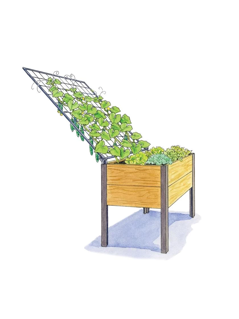 Elevated Planter Box And Space-Maker Pivoting Trellis Set, 2' X 4' - Image 3