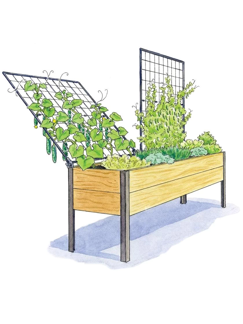 Elevated Planter Box And Space-Maker Pivoting Trellis Set, 2' X 8' - Image 3