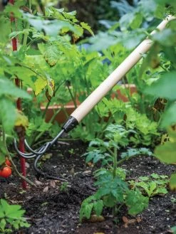 Gardener's Lifetime Long-Handled Double Tool