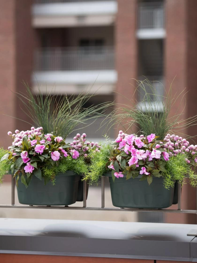 Self-Watering Saddle Railing Planter, 16" - Image 3