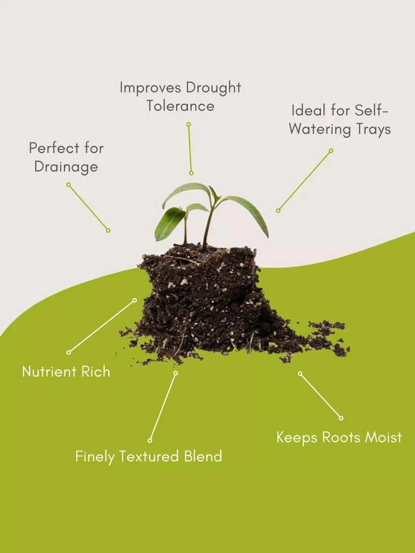 Seed Starting Mix, 9 Qts. - Image 6