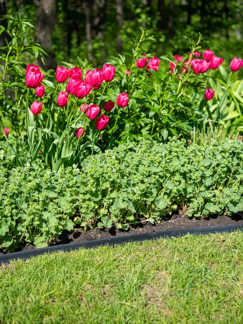 EasyFlexâ„¢ No Dig Edging, 50' - Image 2