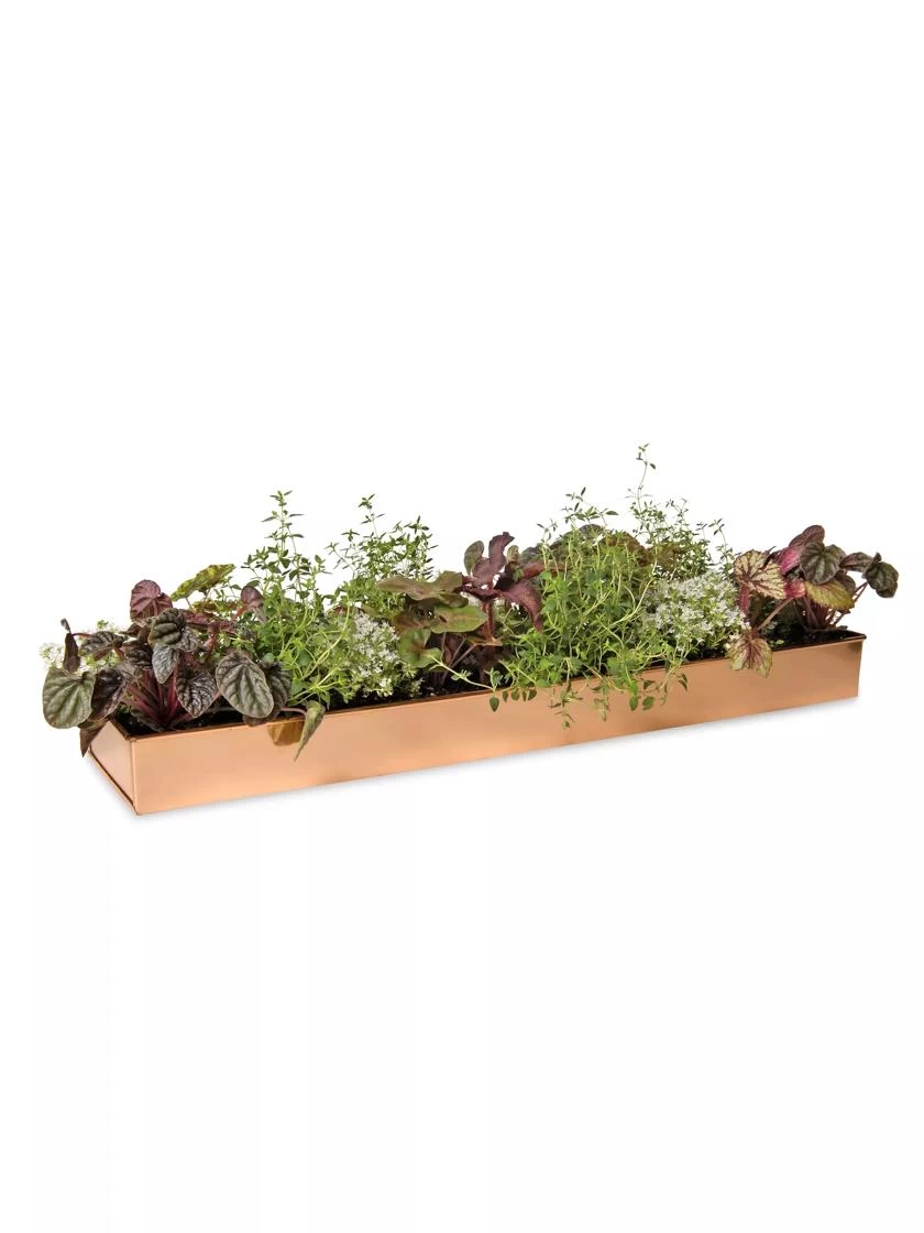 Rectangular Copper Plant Tray, 24" X 5" - Image 5