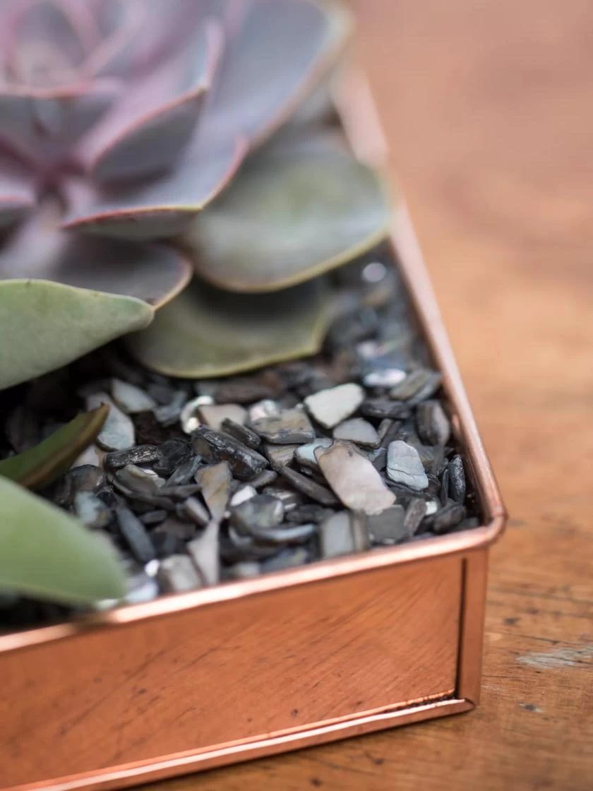 Rectangular Copper Plant Tray, 24" X 5" - Image 4