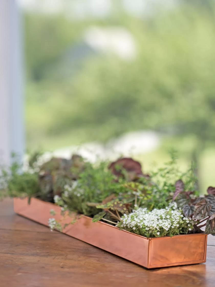 Rectangular Copper Plant Tray, 24" X 5" - Image 3