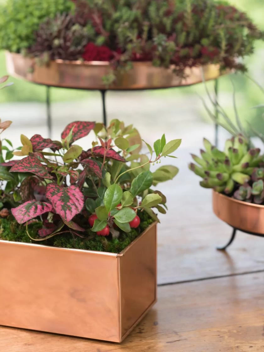 Tall Rectangular Copper Plant Tray, 18" X 5" X 4" - Image 2