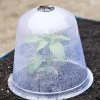 Large Garden Cloches, Set Of 3