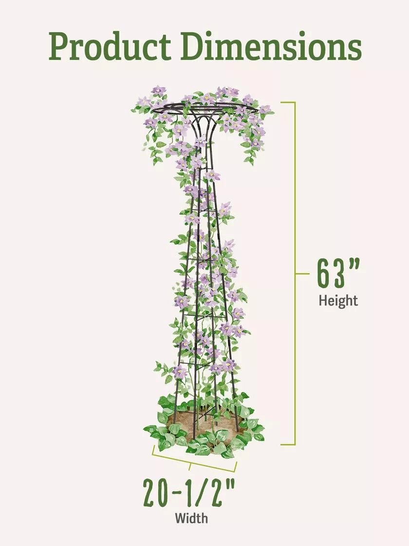 Essex Tuteur, 63" - Image 2