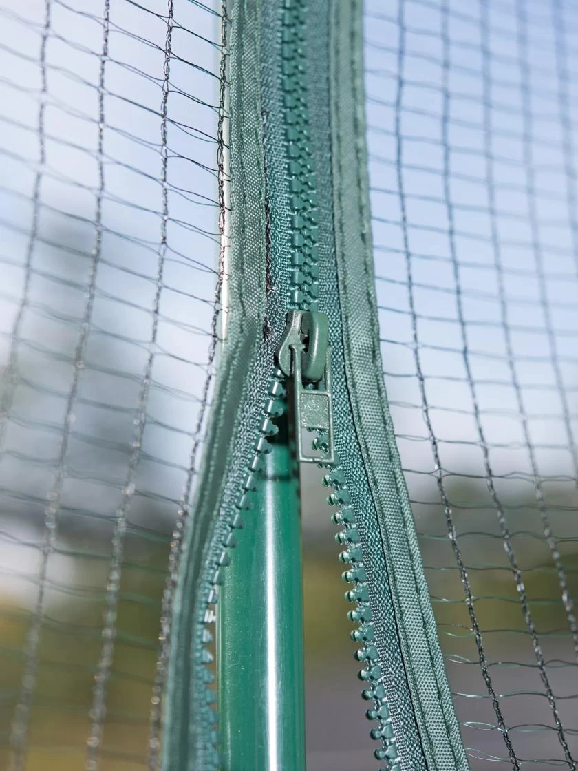 Pest-Free Garden - Image 3