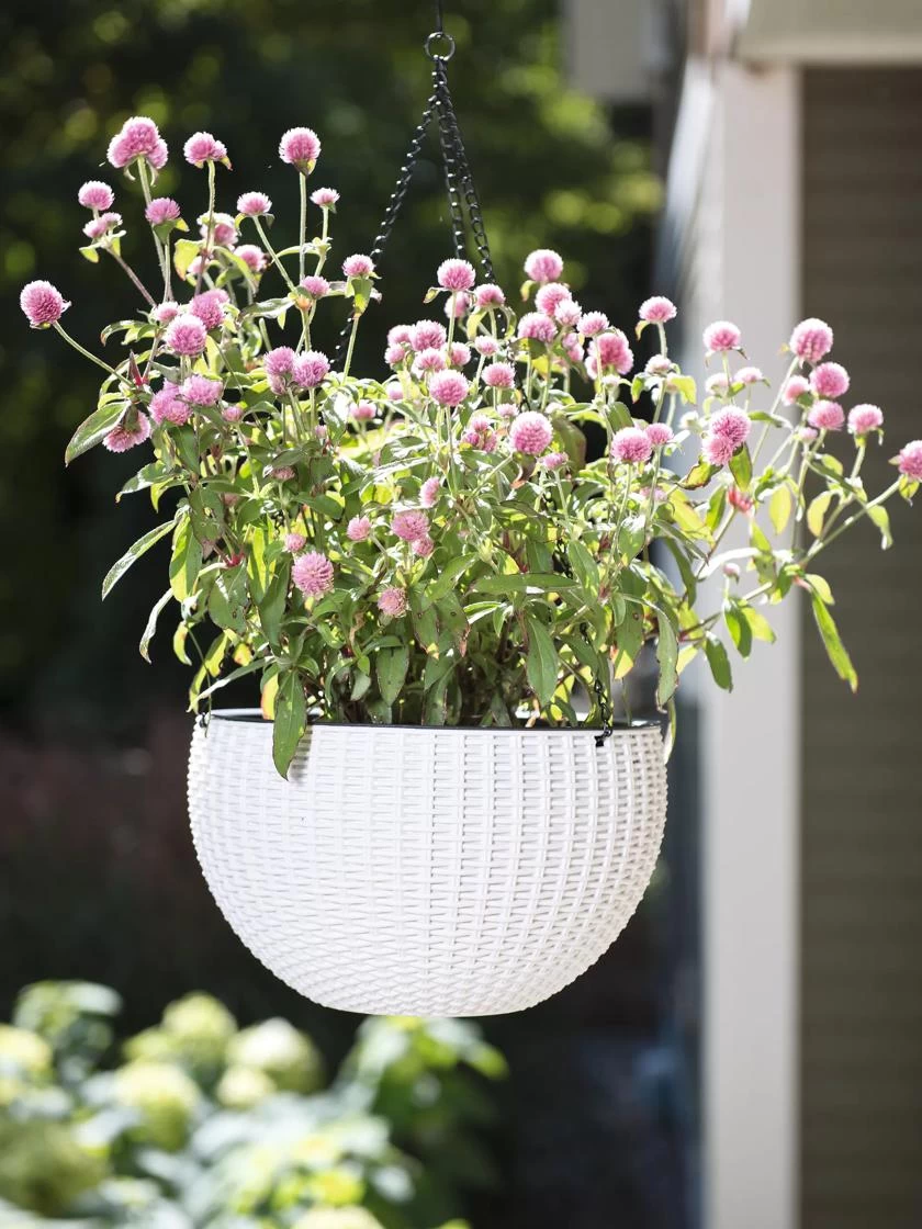 Weave Self-Watering Hanging Basket, 10" - Image 2