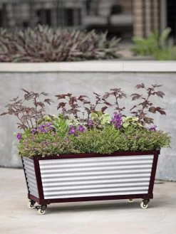Short Galvanized Self-Watering Trough Planter