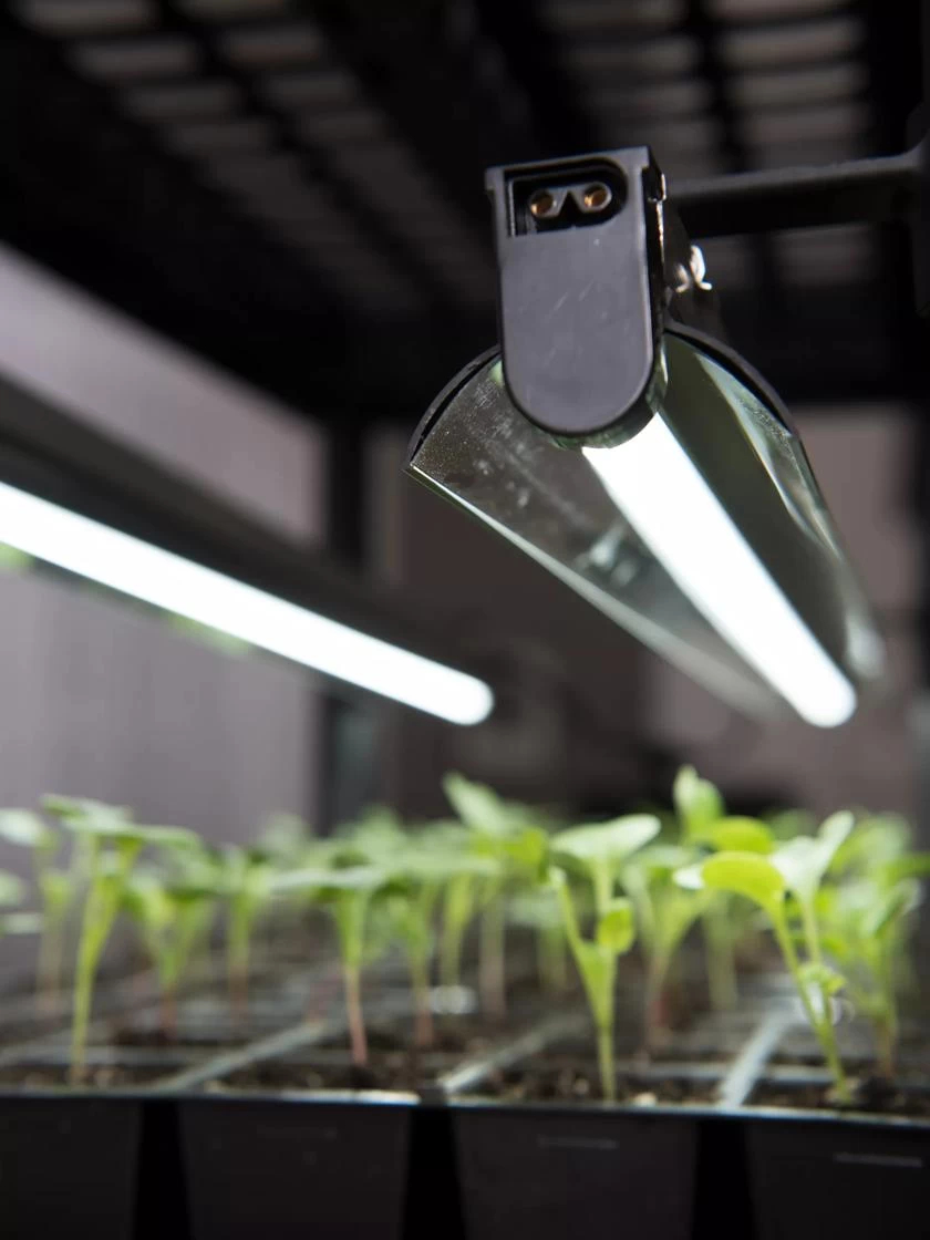 LED Stack-n-Grow Lights - Base Unit - Image 2