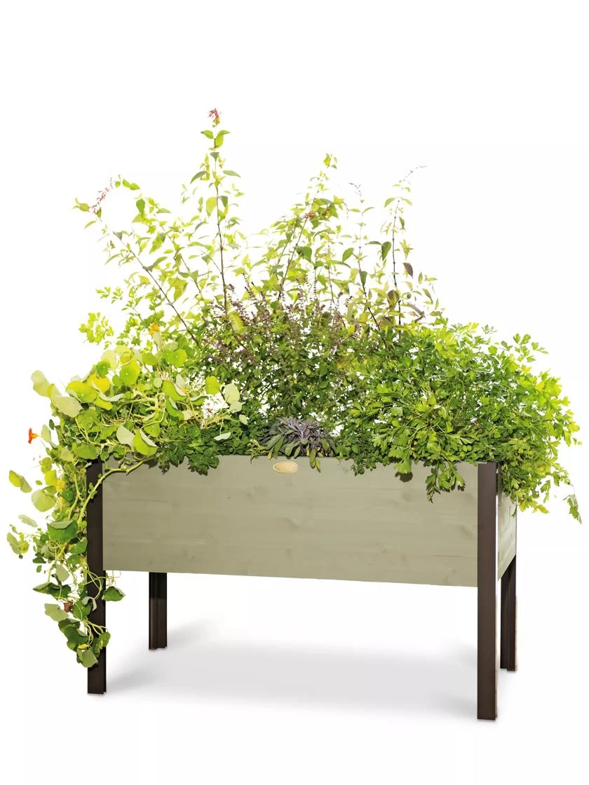 Eco-Stained Elevated Planter Box, 2'x4' - Image 5