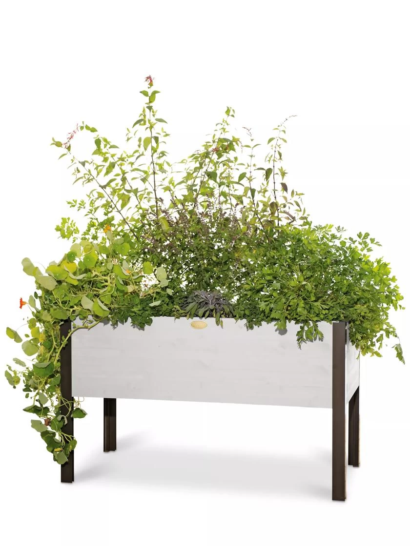 Eco-Stained Elevated Planter Box, 2'x4' - Image 6