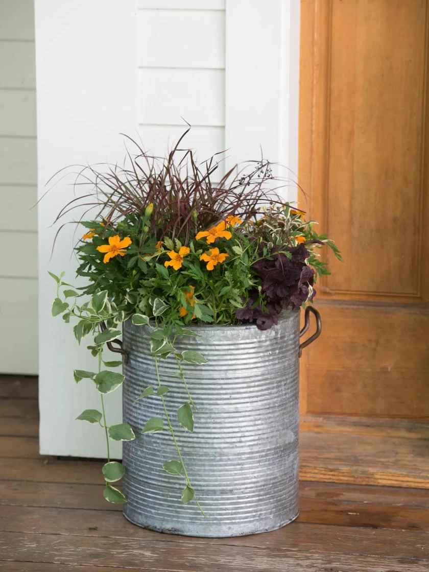 Galvanized Rim Planters - Image 3