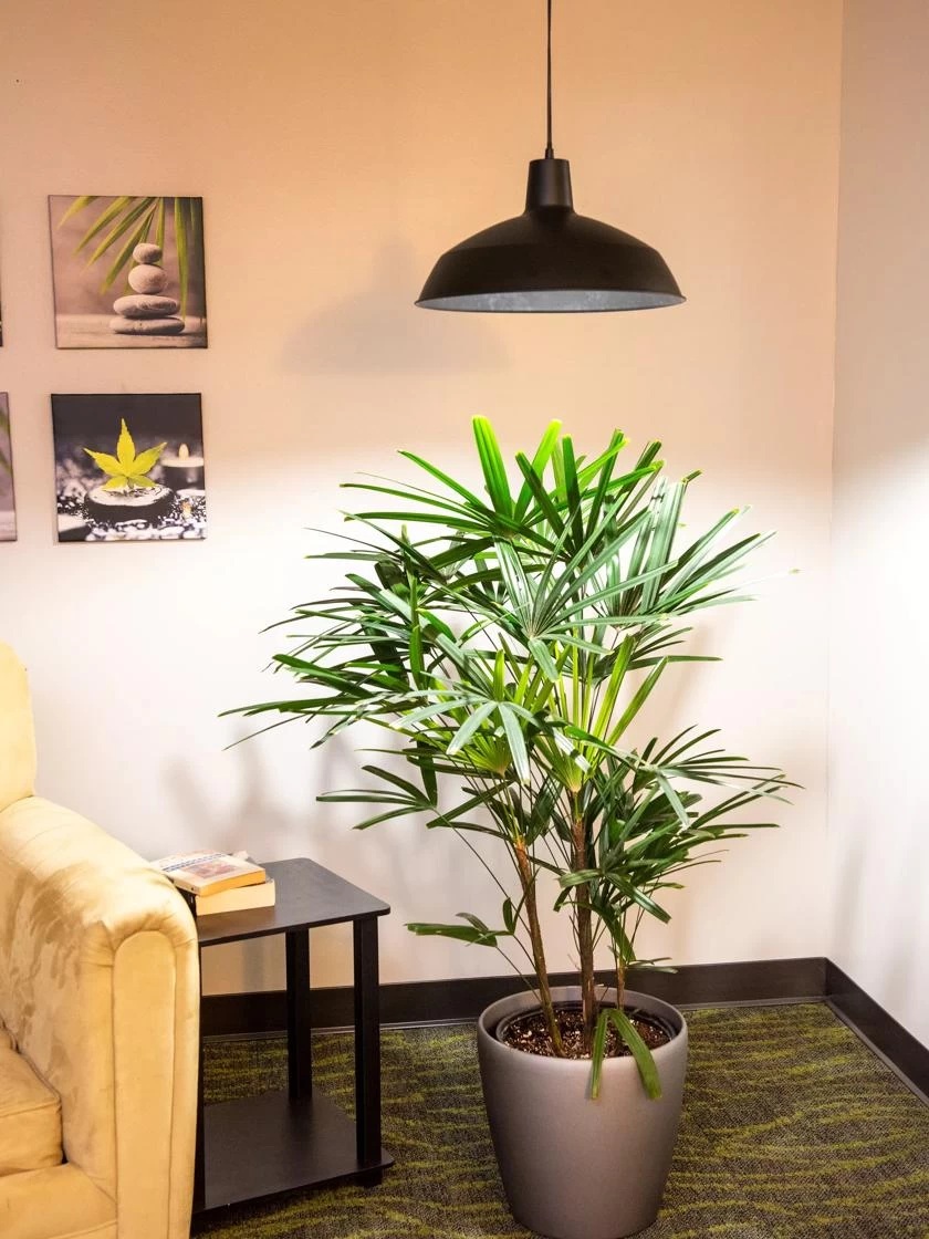 Barnyard Pendant LED Grow Light - Image 3