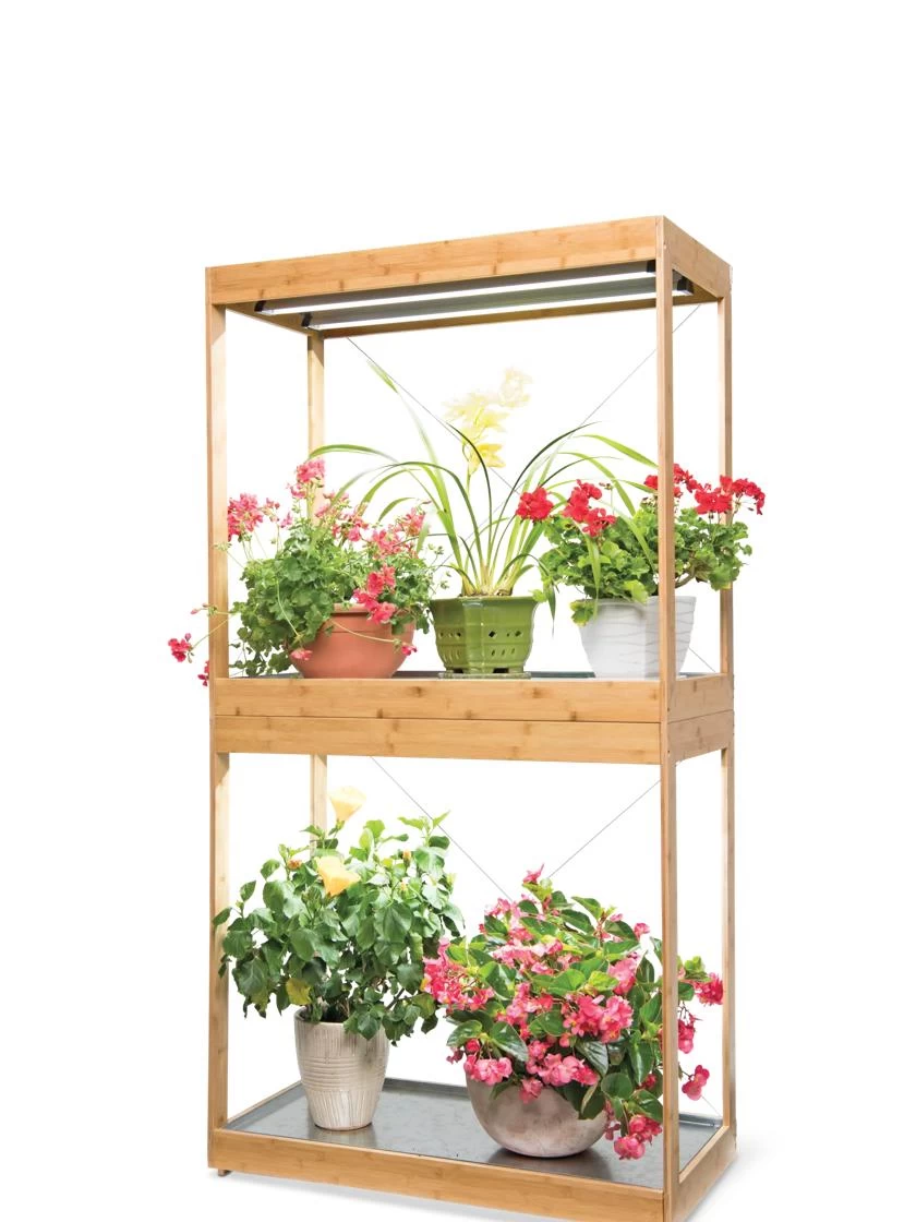 Bamboo Display LED Grow Light Garden - Image 6