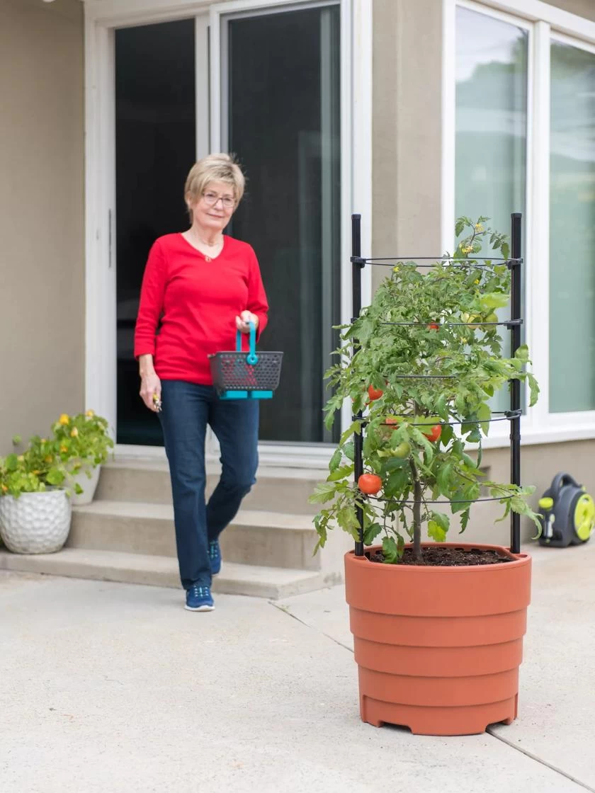 Gardener’s Victory Self-Watering Planter With Support System - Image 3