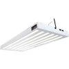 AgroBrite T5 324W 6-Tube Fixture With Bulbs, 4'