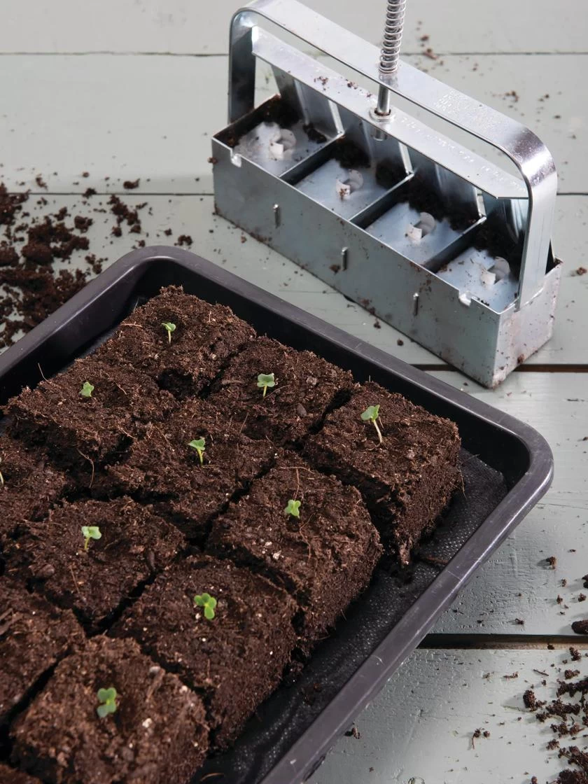 Vermont Compost Company Fort Vee⢠Potting Mix, 20 Quarts - Image 5