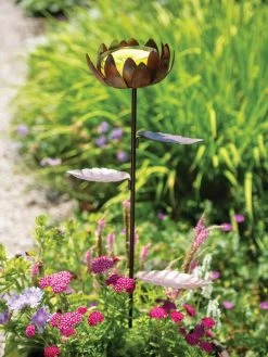 Dahlia Butterfly Feeder