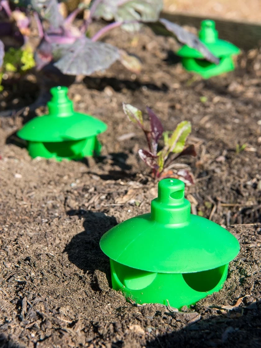 Slug And Snail Traps, Set Of 3 - Image 3