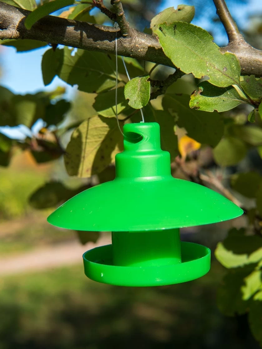 Slug And Snail Traps, Set Of 3 - Image 7