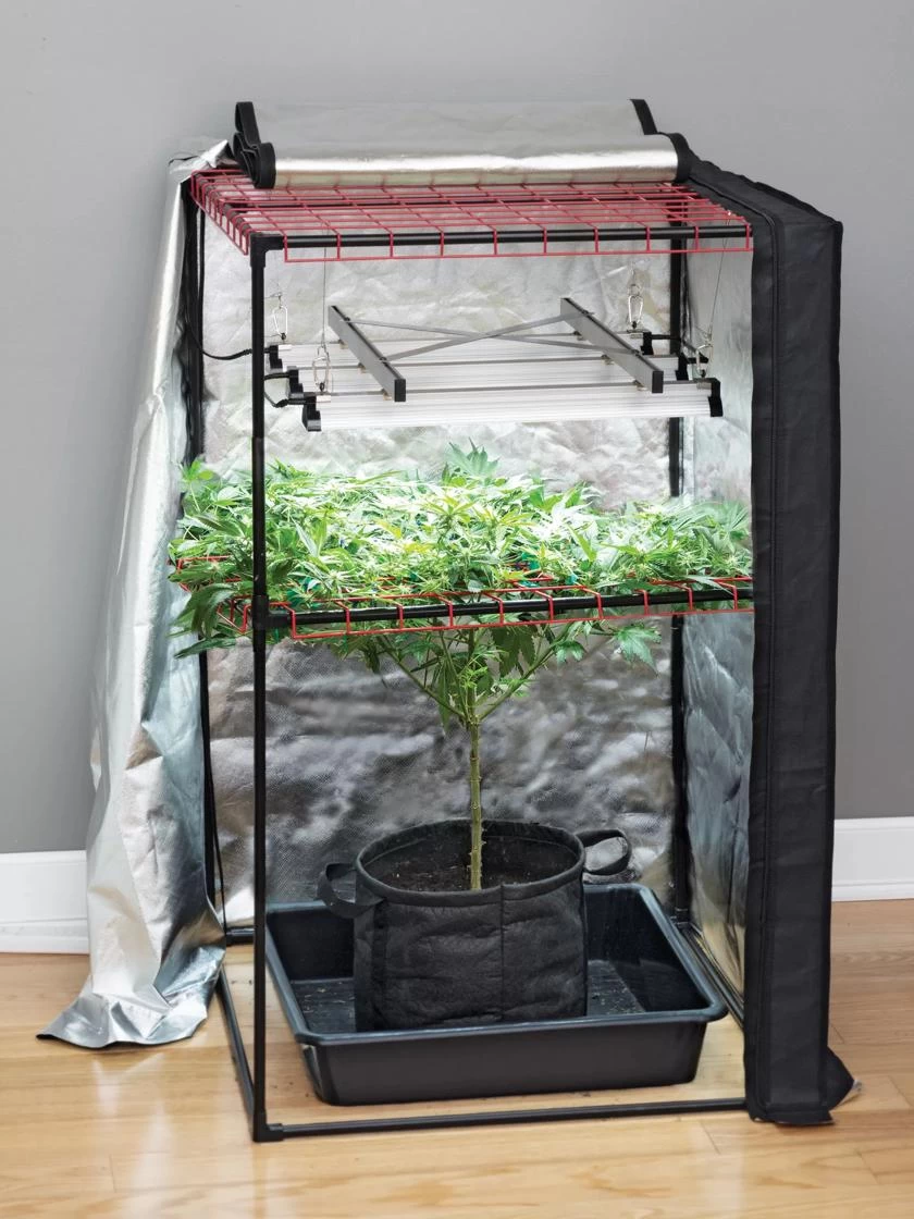 Hemp Grow Kit - Image 2