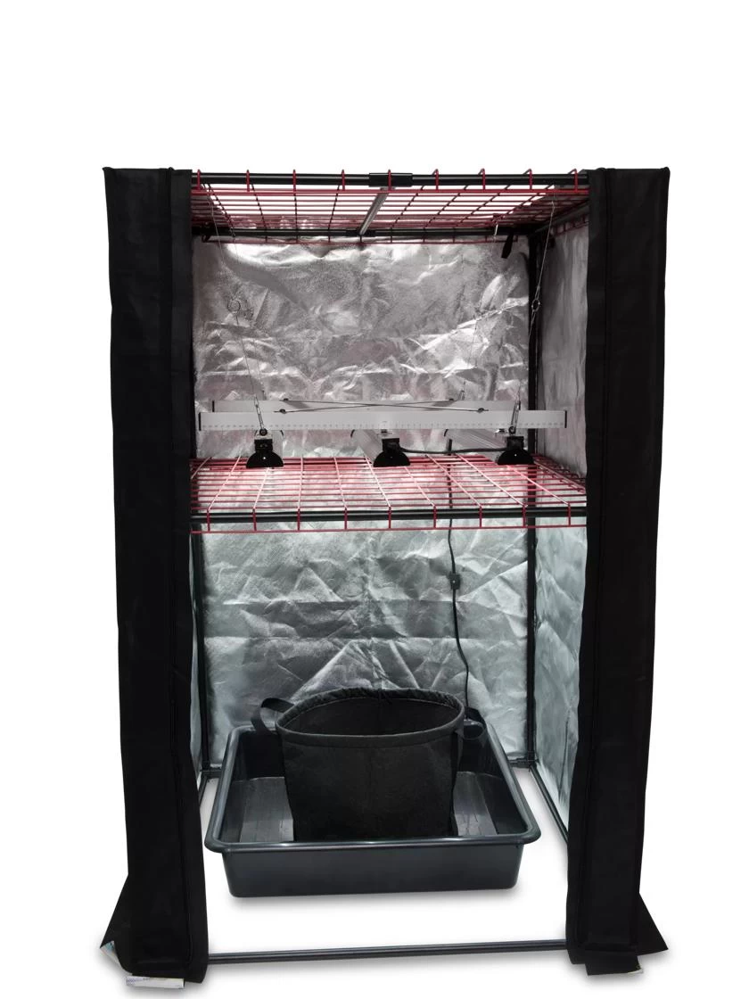 Hemp Grow Kit - Image 9