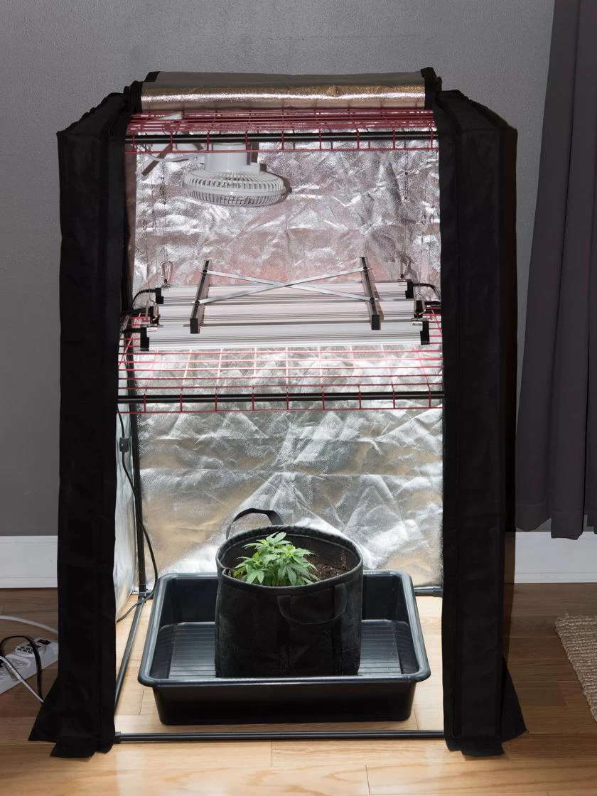 Hemp Grow Kit - Image 3