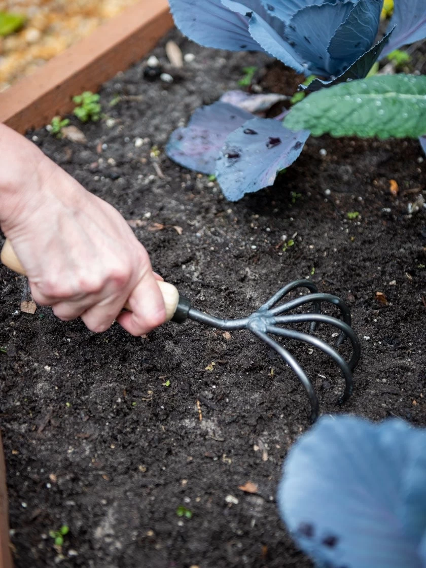 Gardener’s Lifetime 5-Tine Cultivator With Short Handle - Image 2