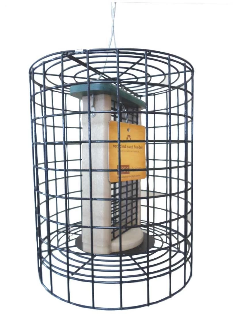 Birds Choice Double Cake Suet Feeder With Cage