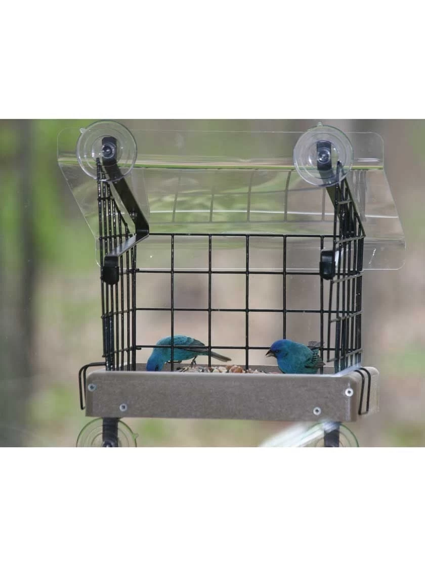 Birds Choice Window Mount Bird Feeder Kits - Image 4