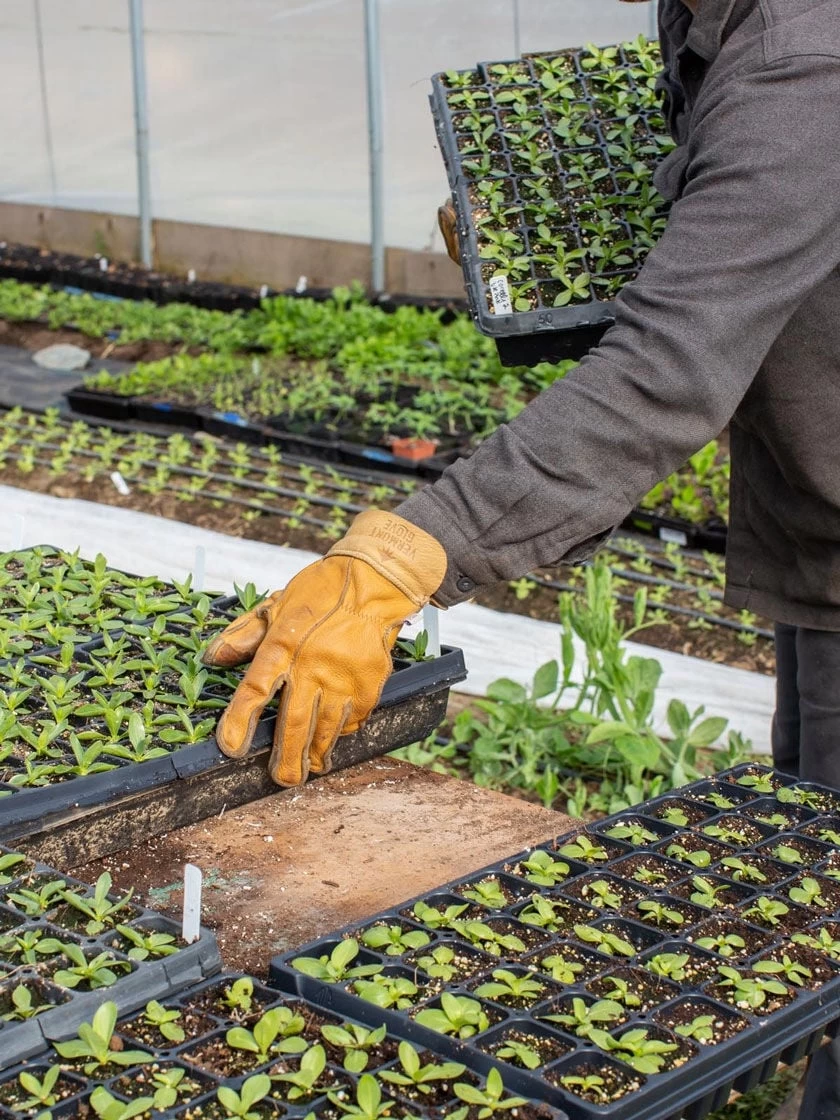 The Vermonter By Vermont Glove - Image 3